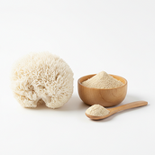 Lion's Mane Mushroom